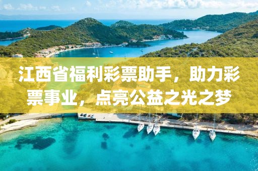 江西省福利彩票助手，助力彩票事业，点亮公益之光之梦