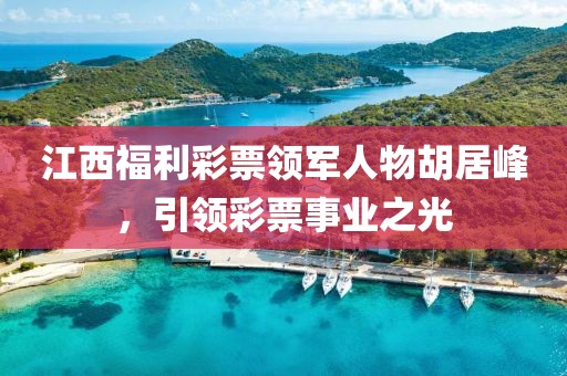 江西福利彩票领军人物胡居峰，引领彩票事业之光