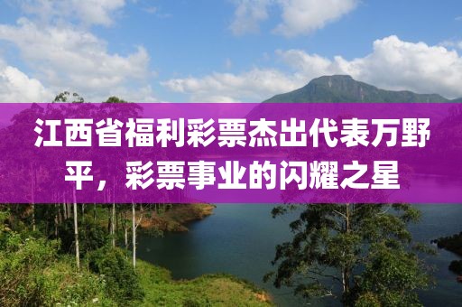 江西省福利彩票杰出代表万野平，彩票事业的闪耀之星