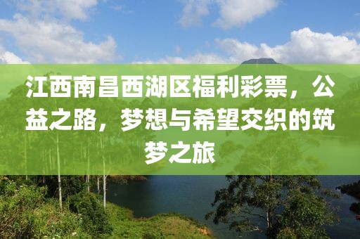 江西南昌西湖区福利彩票，公益之路，梦想与希望交织的筑梦之旅