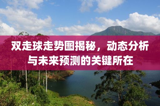 双走球走势图揭秘，动态分析与未来预测的关键所在