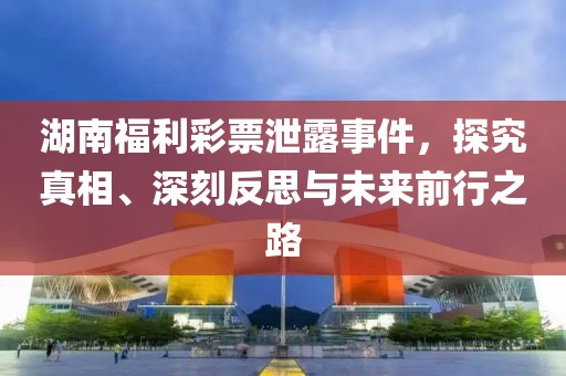 湖南福利彩票泄露事件，探究真相、深刻反思与未来前行之路