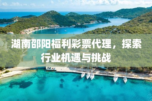 湖南邵阳福利彩票代理，探索行业机遇与挑战