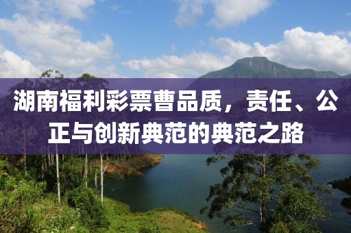 湖南福利彩票曹品质，责任、公正与创新典范的典范之路