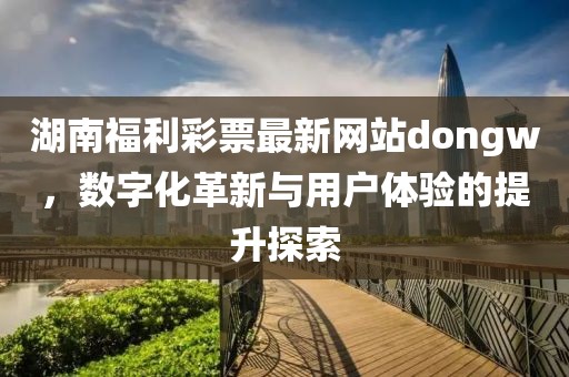 湖南福利彩票最新网站dongw，数字化革新与用户体验的提升探索