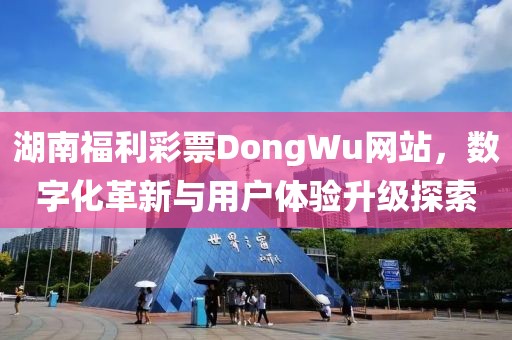 湖南福利彩票DongWu网站，数字化革新与用户体验升级探索