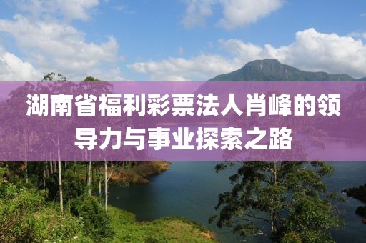 湖南省福利彩票法人肖峰的领导力与事业探索之路