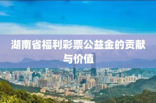 湖南省福利彩票公益金的贡献与价值