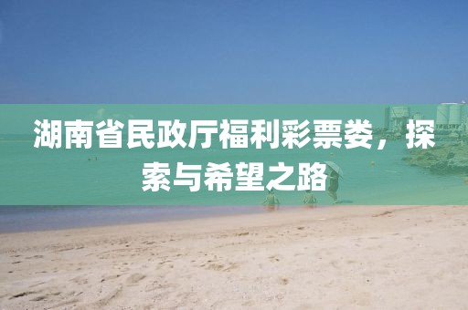 湖南省民政厅福利彩票娄，探索与希望之路