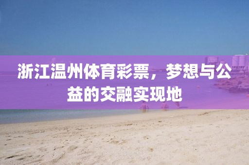 浙江温州体育彩票，梦想与公益的交融实现地