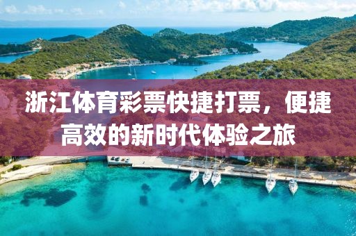 浙江体育彩票快捷打票，便捷高效的新时代体验之旅