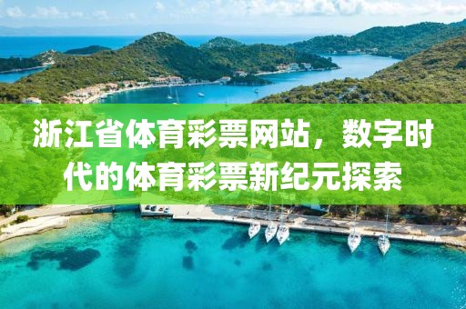 浙江省体育彩票网站，数字时代的体育彩票新纪元探索