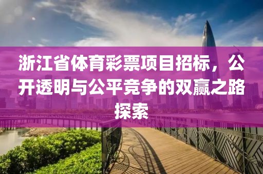 浙江省体育彩票项目招标，公开透明与公平竞争的双赢之路探索