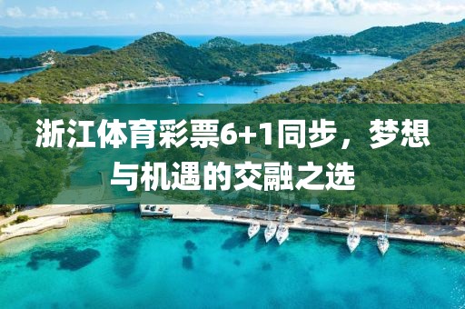 浙江体育彩票6+1同步，梦想与机遇的交融之选