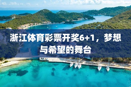 浙江体育彩票开奖6+1，梦想与希望的舞台