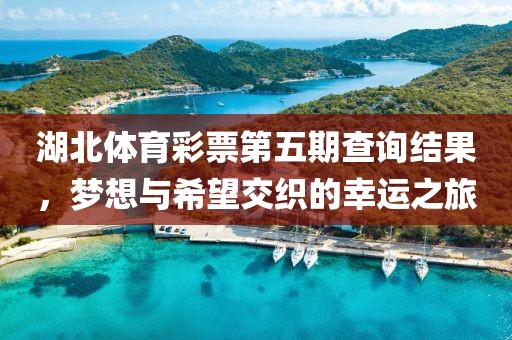 湖北体育彩票第五期查询结果，梦想与希望交织的幸运之旅