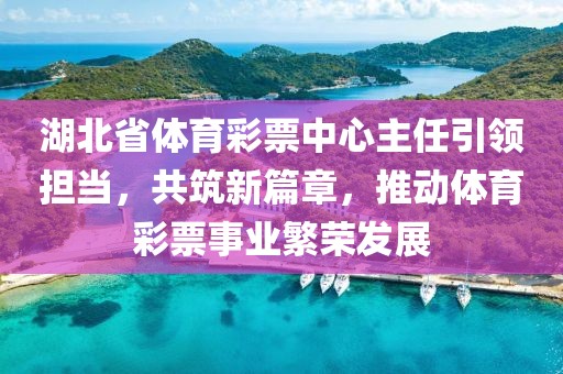 湖北省体育彩票中心主任引领担当，共筑新篇章，推动体育彩票事业繁荣发展