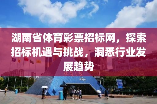 湖南省体育彩票招标网，探索招标机遇与挑战，洞悉行业发展趋势