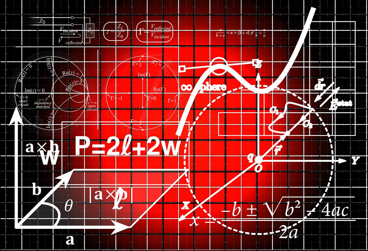 2024年12月7日 第5页